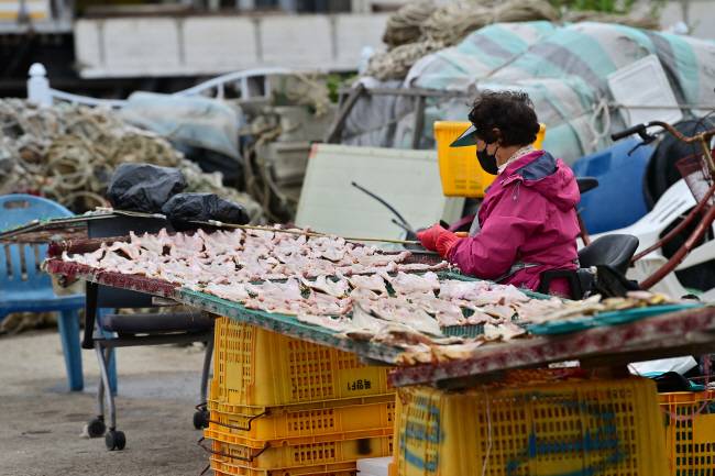경북 울진 후포항 포구에서 상인들이 좌판을 깔고 생선을 말리고 있다.
