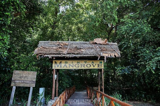 빈탄 맹그로브 투어