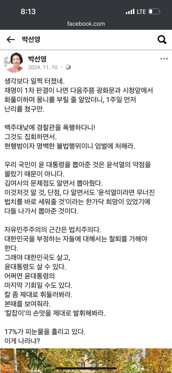 박선영 물망초 이사장의 페이스북 글. 페이스북 갈무리