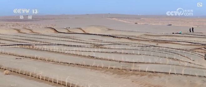 중국 타클라마칸 사막 둘레에 나무를 심는 프로젝트가 28일 마무리됐다고 당국이 밝혔다. /중국 CCTV 화면 캡처