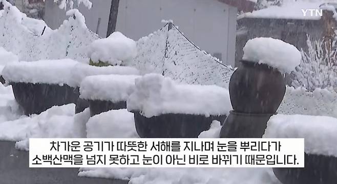 SmartSelect_20241129_194637_YouTube.jpg 한국의 캘리포니아 \'부산\'