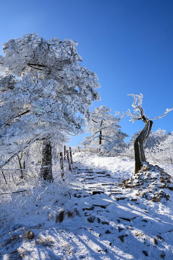 3V7A4131.jpg 올 겨울 첫 눈꽃 산행 다녀옴