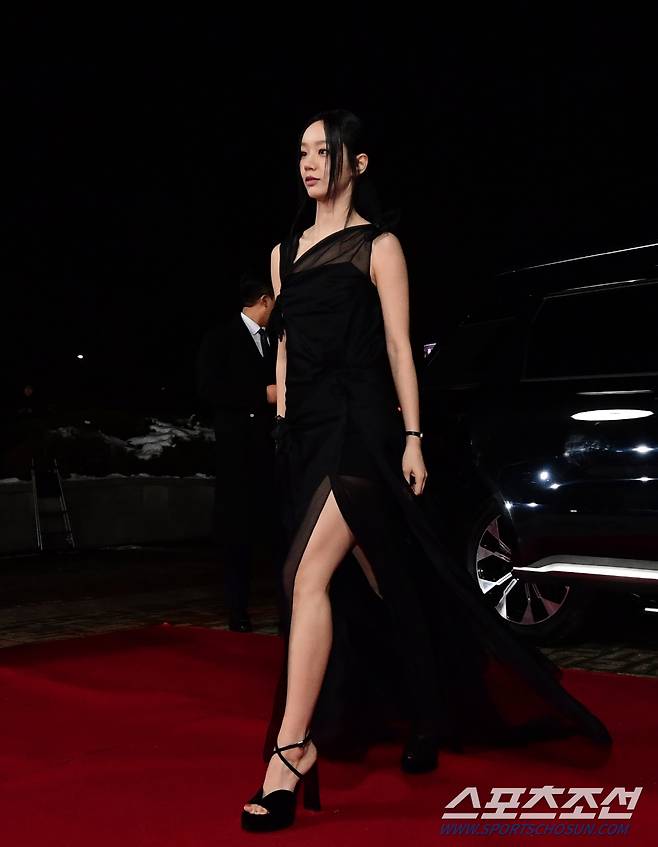 여신으로 등장한 청룡 레드카펫. 송정헌 기자