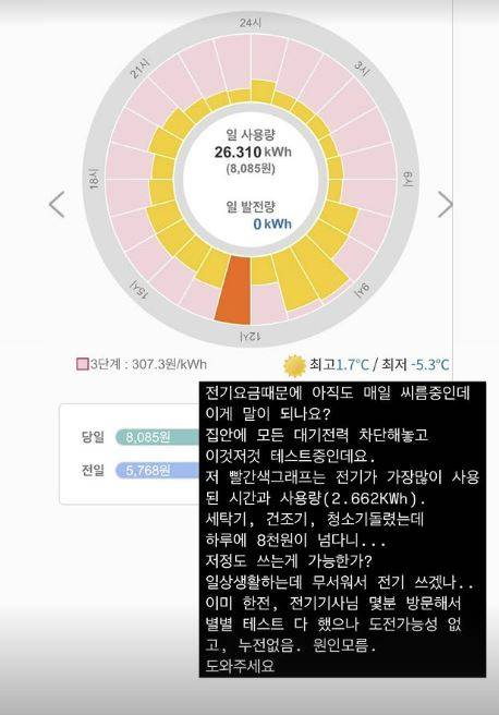 사진=아이비 SNS.