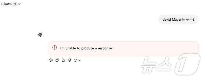 챗GPT에서 'david mayer'를 질문했을 때 나타나는 오류 ⓒ 뉴스1