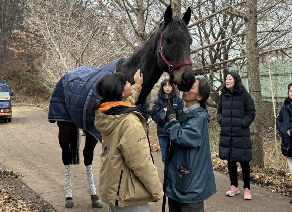 공주시 폐마목장에 살아남은 말들은 임시보호처와 입양처로 모두 이동했다. (동물자유연대 제공) ⓒ 뉴스1