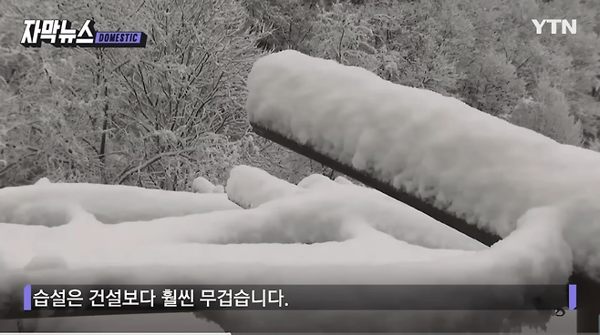 폭설때 안양 농수산물도매시장 무너진 이유 떴나