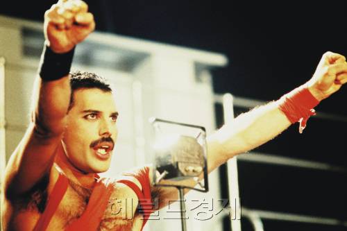 프레디 머큐리 (Freddie Mercury 미국 가수)