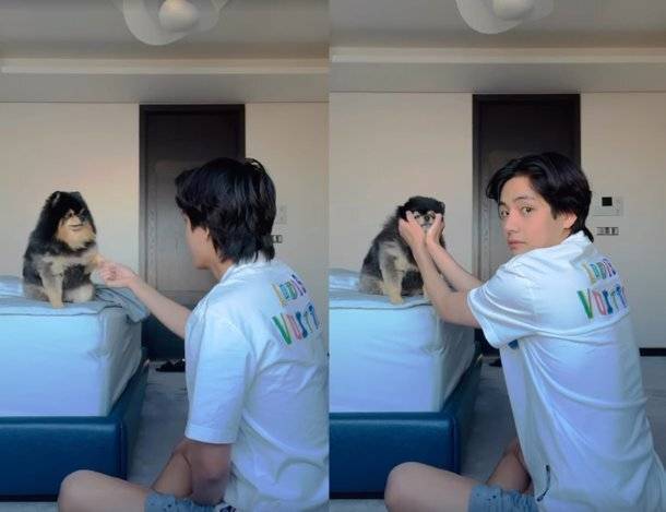 뷔가 연탄이와 함께 있는 모습을 영상으로 공유했다. 인스타그램 캡처