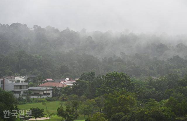바탐섬 고급 주택가 정글에 안개가 어슬렁거리고 있다.