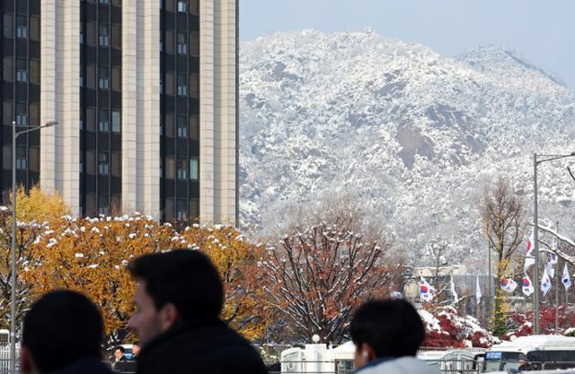 지난달 27일 서울에는 117년 만의 최대 폭설이 내렸다. 이튿날인 28일 오후 서울 종로구 정부서울청사의 노란 가을 단풍이 물든 나무 뒤로 눈 덮인 인왕산이 보인다. 연합뉴스