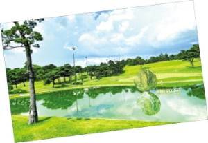 세레니티CC 제공