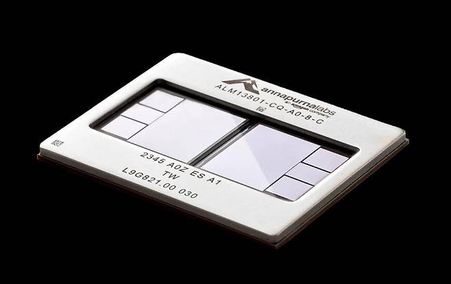 아마존이 자체 설계한 AI 칩 트레이니엄./아마존 제공