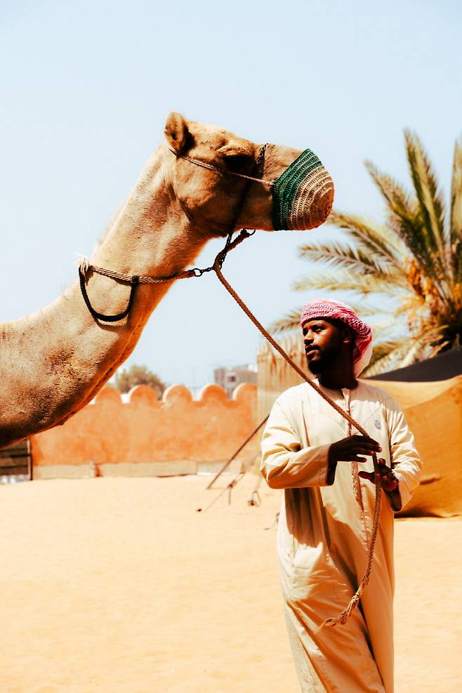낙타 탑승 체험은 아이들에게 인기 있는 액티비티 중 하나다