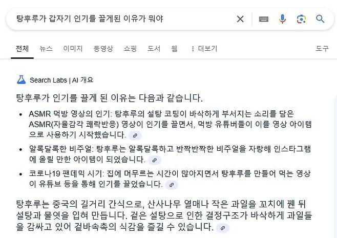 [서울=뉴시스] 6일 구글에 따르면 구글코리아는 전날 공식 블로그를 통해 'AI 개요' 한국 출시 소식을 전했다. (사진=구글 검색 캡처) *재판매 및 DB 금지