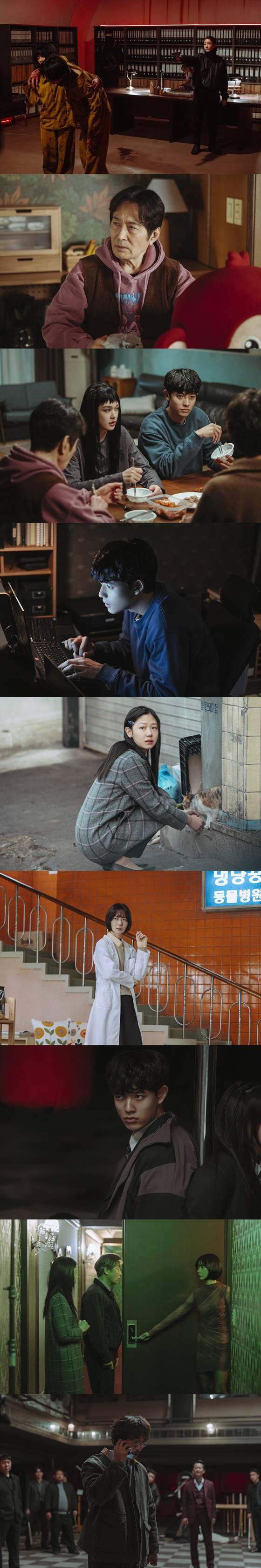 '부부' 배두나♥류승범, 김수현·수지 넘고 일 냈다..역대 쿠팡플레이 1위 '가족계획' [공식]