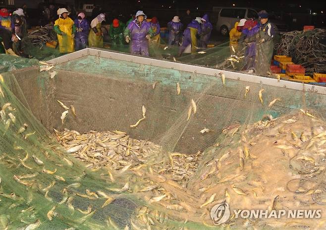 제주 추자 조업 [연합뉴스 자료 사진]