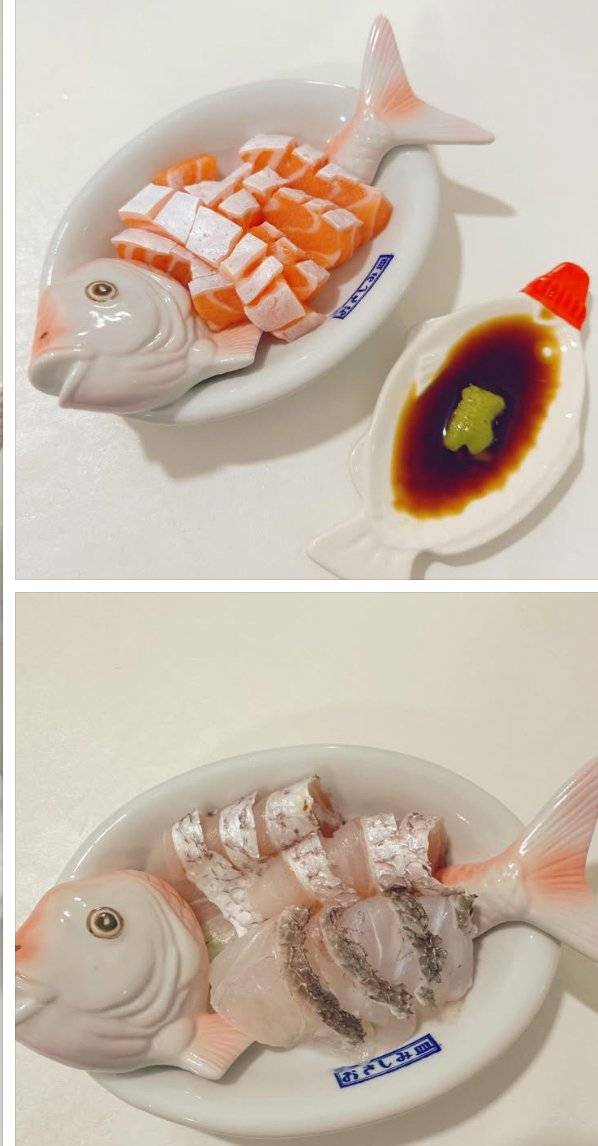 일본 회접시 탐나네