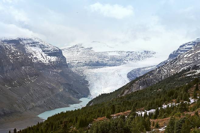 사스카츄완 빙하 [사진/조보희 기자]