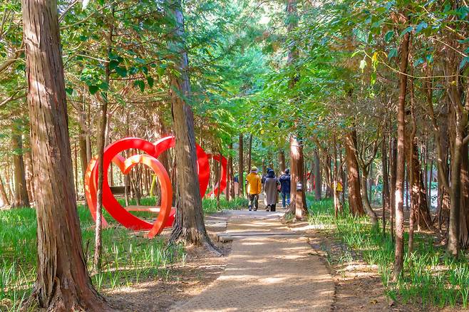 ◇정남진 편백숲 우드랜드는 편백나무를 중심으로 자연 속 여유를 즐길 수 있는 공간이다. 사진=지엔씨21