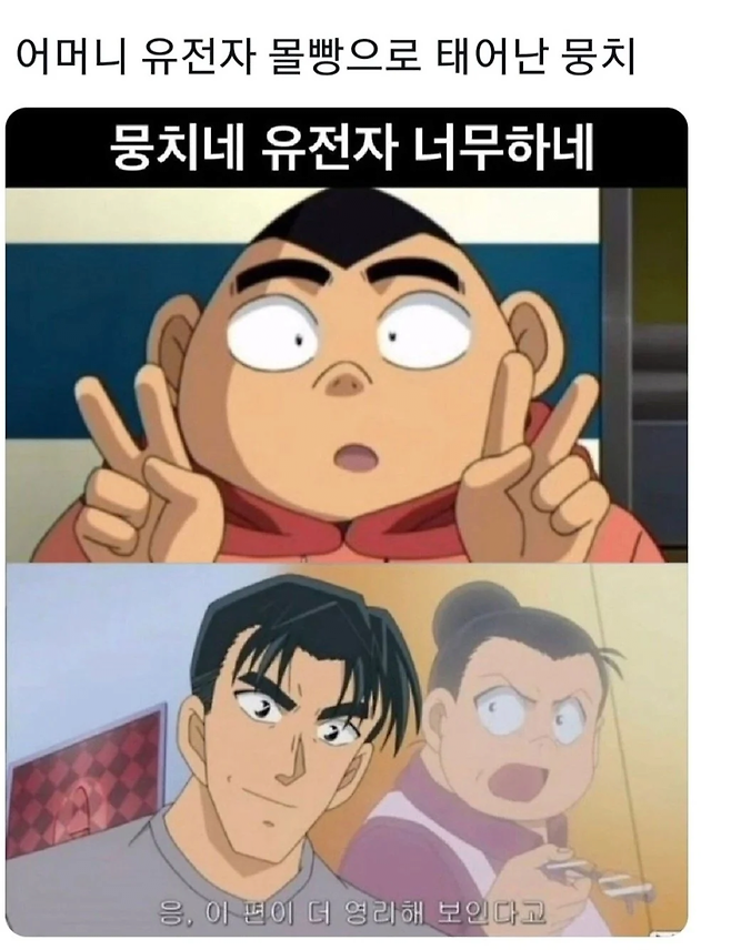 image.png 어머니 유전저 몰빵으로 태어난 뭉치.jpg