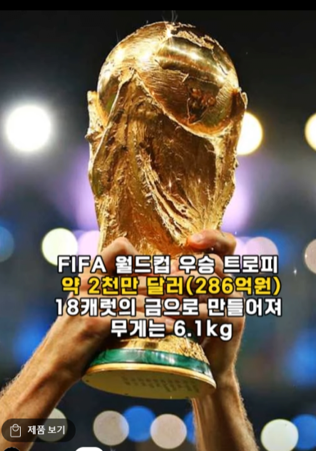 -16-전-세계-가장-비싼-축구-우승-트로피-순위-TOP-10-YouTube-12-12-2024_10_22_PM.png 전세계에서 가장비싼 축구트로피 순위