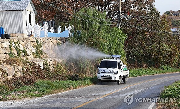 조류인플루엔자(AI) 확산 차단 방역. [사진=연합뉴스]