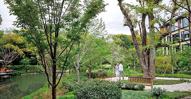 일본 교토의 대표적인 럭셔리 호텔 포시즌스 교토는 800년 넘은 연못 정원을 중심으로 빙 둘러 호텔을 지었다. 이 연못은 봄, 여름, 가을, 겨울 사계절마다 독특한 분위기를 연출한다.  포시즌스 교토 제공