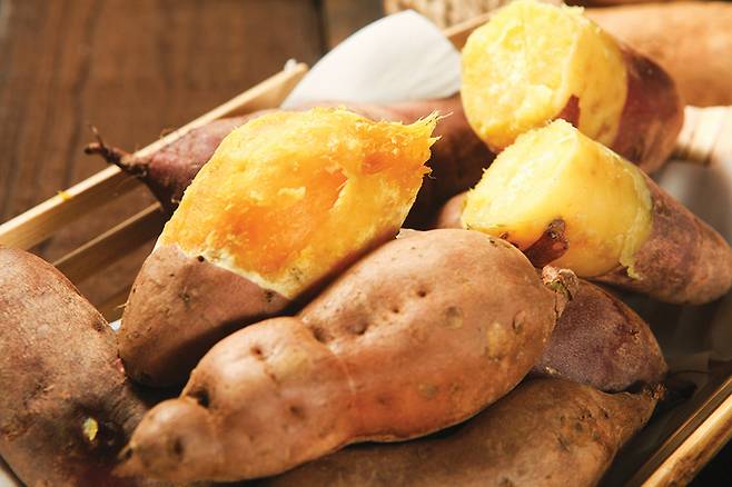 게티이미지뱅크