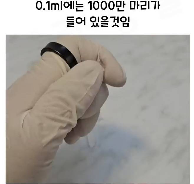 Screenshot_20241218_182931_Video Player.jpg 요구르트 유산균 수를 세는 방법.jpg