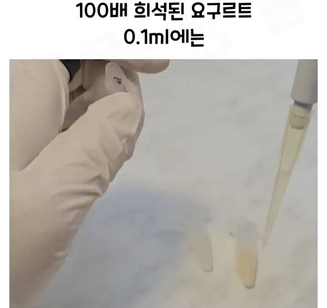 Screenshot_20241218_183011_Video Player.jpg 요구르트 유산균 수를 세는 방법.jpg