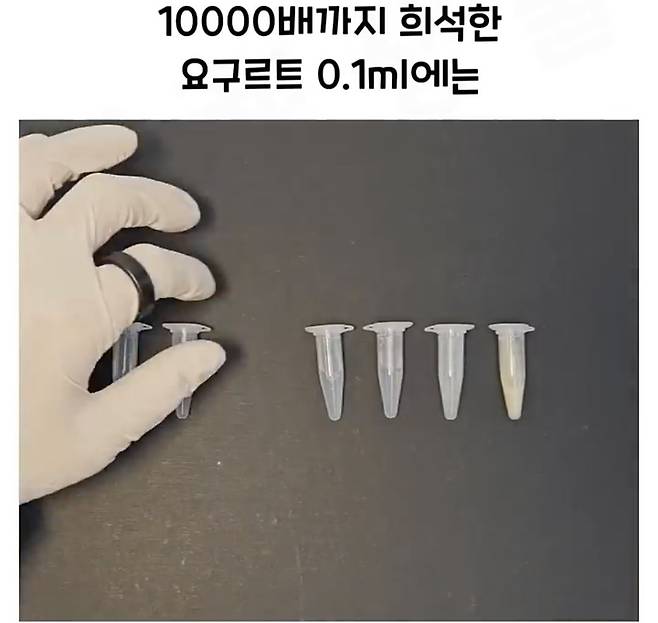 Screenshot_20241218_183027_Video Player.jpg 요구르트 유산균 수를 세는 방법.jpg