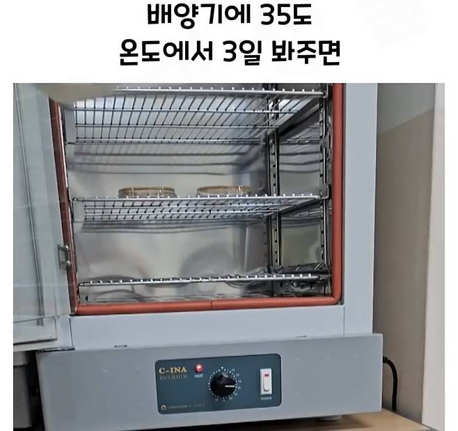 Screenshot_20241218_183048_Video Player.jpg 요구르트 유산균 수를 세는 방법.jpg