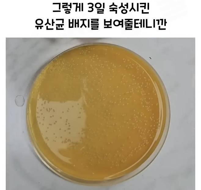 Screenshot_20241218_183100_Video Player.jpg 요구르트 유산균 수를 세는 방법.jpg