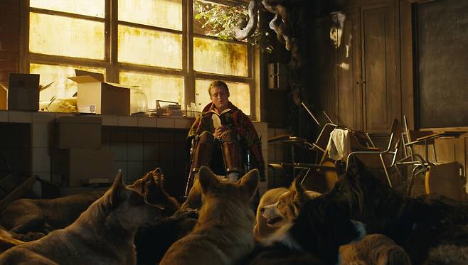 영화 ‘도그맨’의 한 장면. 엣나인필름 제공