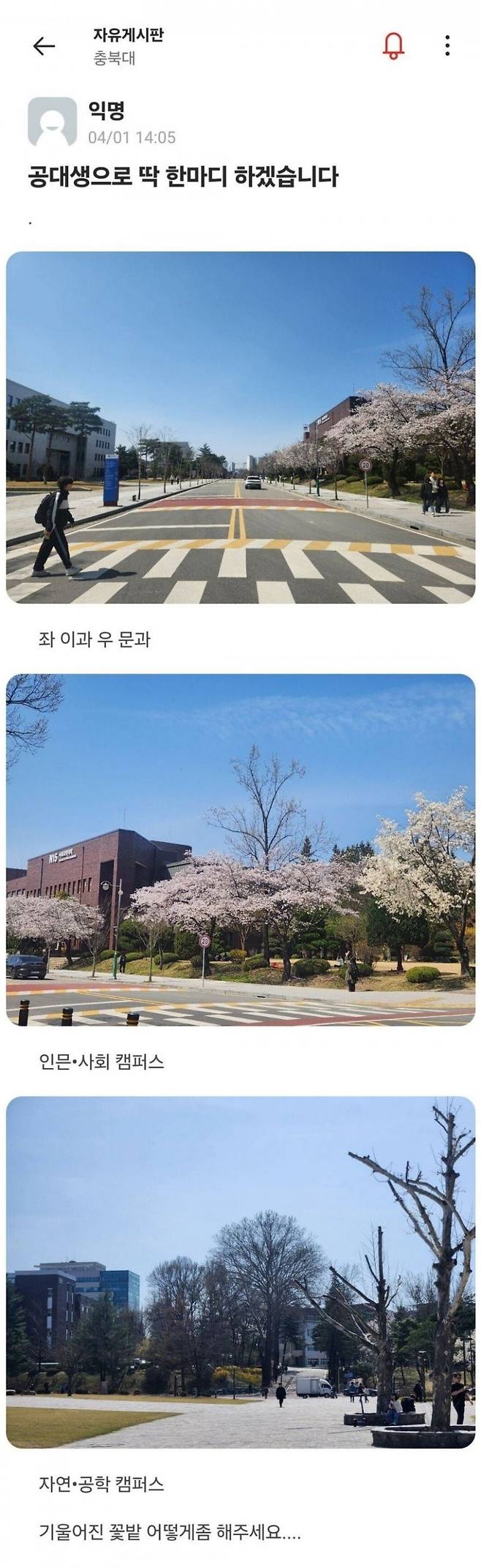 1111.jpg 대학교의 기울어진 캠퍼스.jpg