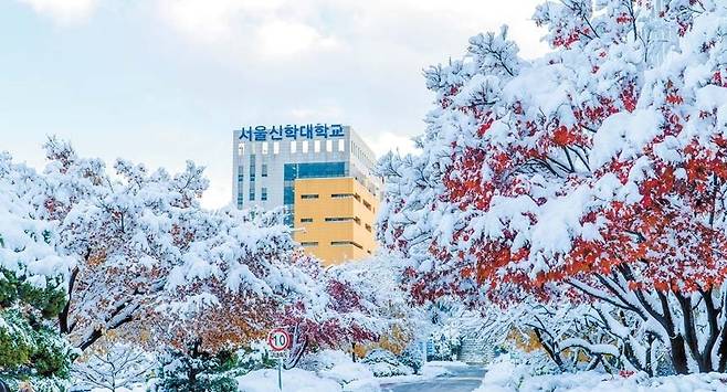 서울신학대는 2024 대학혁신지원사업 평가에서 교육혁신 ‘A등급’을 받은 기독교 대학이다. [사진 서울신학대]