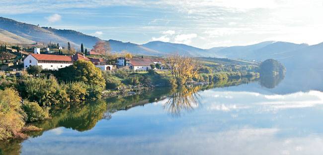 도루강변 소도시 피냥 인근 뢰다 와이너리. 이곳에서 ‘크로프트’ 브랜드의 포트와인을 빚는다. 근사한 강변 경관과 구릉의 포도밭이 어우러지는 풍경을 보며 마시는 와인이 맛 없을 리 있을까.