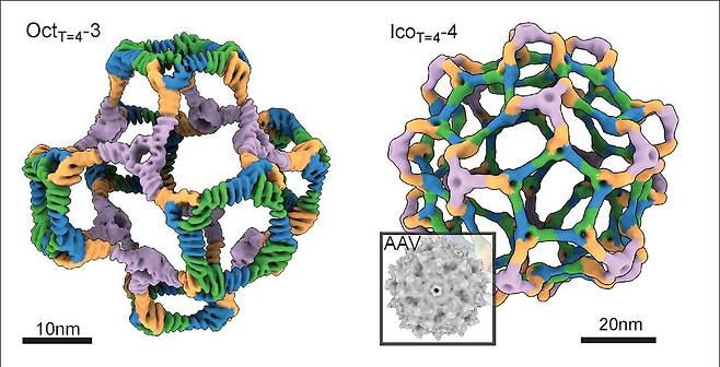연구 관련 이미지 [포항공대 제공. 재판매 및 DB 금지]