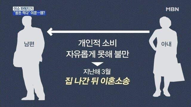 용돈 40준다고 이혼소송