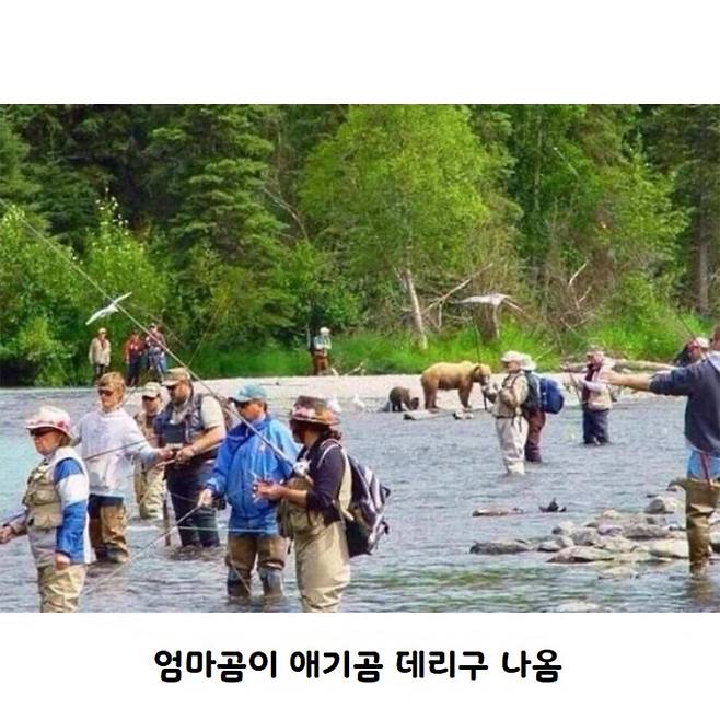 평화로운 연어철 알래스카.jpg