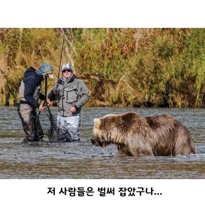 평화로운 연어철 알래스카.jpg