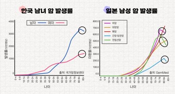 고령자에게서 암 발생과 사망이 줄어드는 현상은 모든 나라에서 공통적으로 관찰되는 현상이다.
