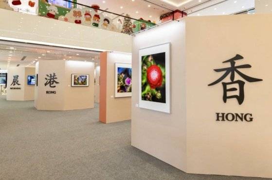 저우룬파가 찍은 꽃 사진. X(옛 트위터)