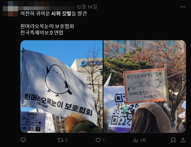 실제 집회에 참석한 이들도 SNS를 통해 본인들이 목격한 기발한 깃발 사진을 공유하거나, 직접 제작한 깃발 사진을 게시하며 공감대를 형성하는 모습을 보였다. 엑스(X) 캡처