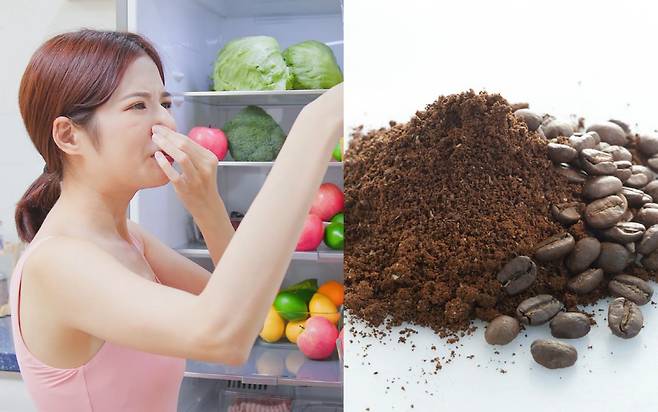 커피 찌꺼기에서 수분이 다 증발하지 않은 채로 냉장고에 넣으면 곰팡이가 생겨 냉장고 악취가 심해진다./사진=클립아트코리아