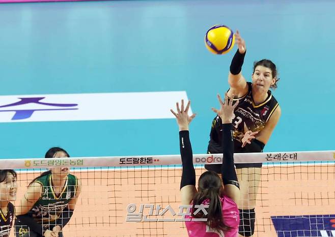 프로배구 도드람 2023-2024 V리그 여자부 흥국생명과 정관장의 경기가 17일 오후 인천 삼산월드체육관에서 열렸다. 정관장 부키리치가 흥국생명 블로킹을 앞에두고 공격하고있다. 인천=정시종 기자 capa@edaily.co.kr /2024.12.17.