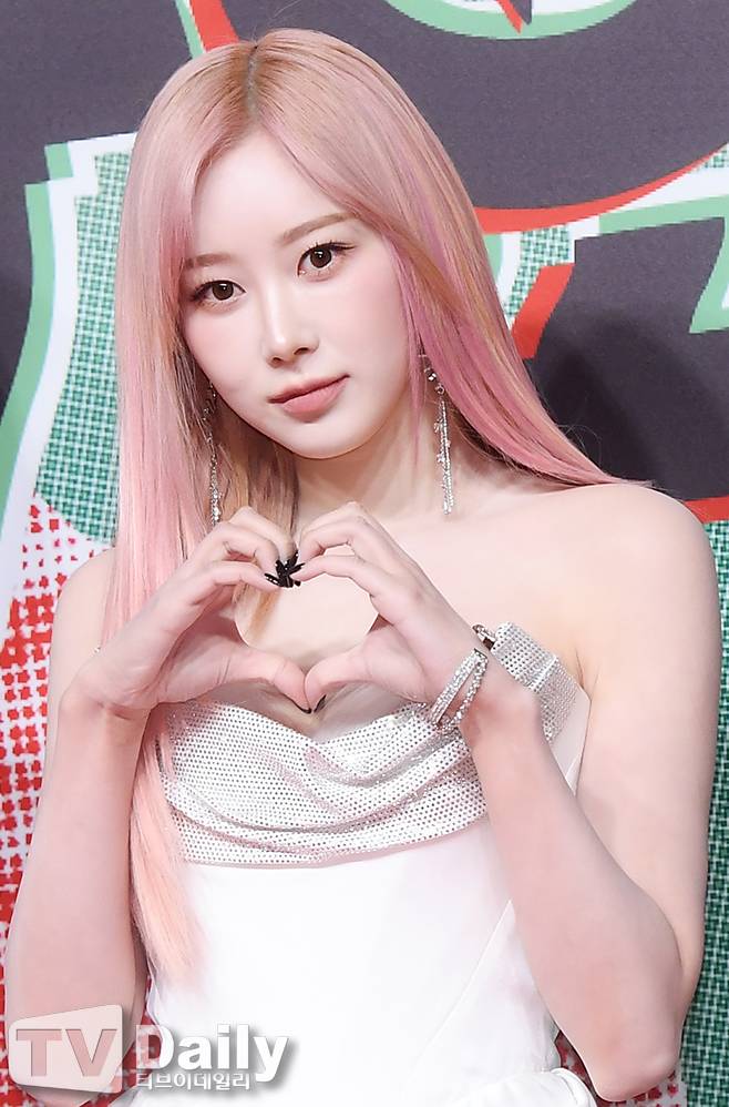 티브이데일리 포토