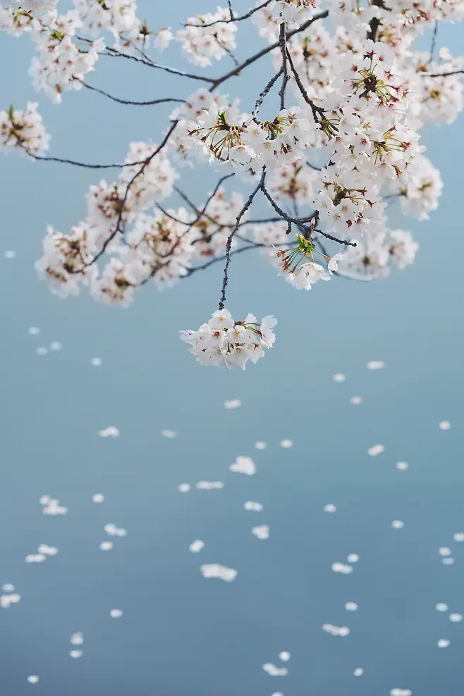 79eaf272b08060f123edf0e2349c7064da9b6e9de9abb300af3395620e20dec69c33b5cc8480ba7ed9e7941fe9cd0d35213895a4bc