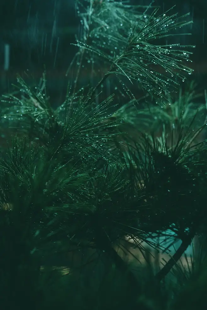 7aec8402c38219f523ef83e7309c7018e12b7a73260127144f5415d0a588b3a4600215a710dce1529f92c3723dbc39db4f8f8a06c2